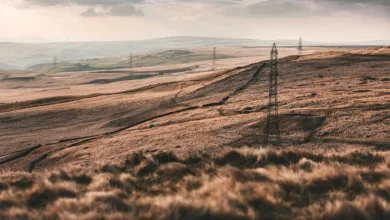 EU fordert 12 Länder zur Umsetzung von Krypto-Steuervorschriften auf