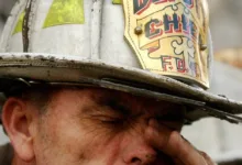 X führt neue Funktion für Krypto- und Aktienpreise ein