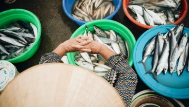 Ungleichgewicht an den Märkten: Was passiert mit Bitcoin?