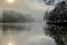 Dogecoin unter Druck: Kursprognose für Januar 2026