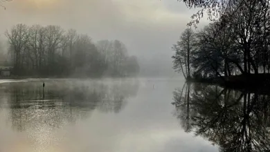 Dogecoin unter Druck: Kursprognose für Januar 2026