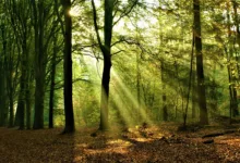 Krypto-Regulierung im US-Senat: Wichtige Abstimmung steht bevor