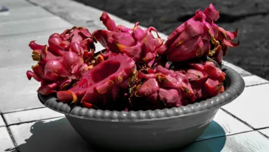 Woche der Cyberkriminalität: Hohe Verluste und Aufklärung