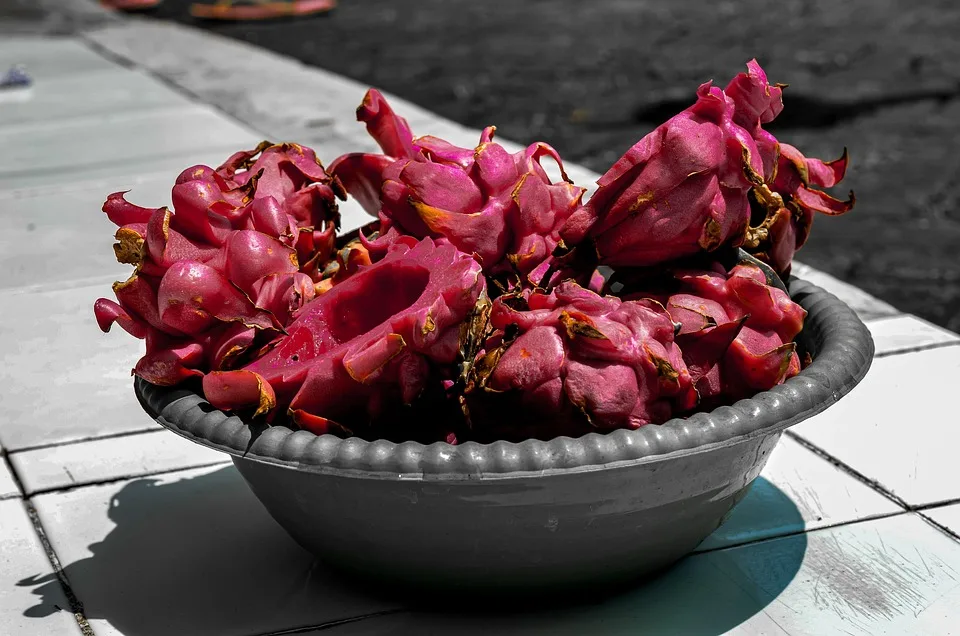 Woche der Cyberkriminalität: Hohe Verluste und Aufklärung