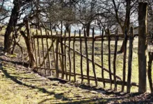 Kryptomarkt im Aufwind: Hürden für neue Rekorde erkennen