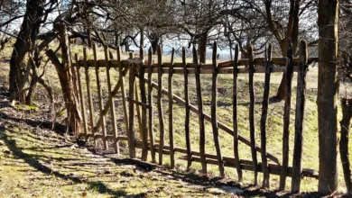 Kryptomarkt im Aufwind: Hürden für neue Rekorde erkennen