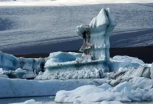 Krypto 2026: Veränderungen im Markt und neue Prognosen