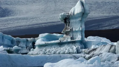 Krypto 2026: Veränderungen im Markt und neue Prognosen