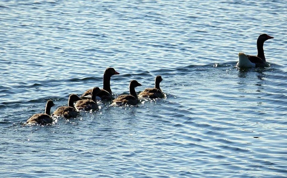 Regulierungsdruck: Bitcoin-Kurs erreicht neues Jahrestief