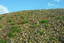 Bitcoin in der Krise: Warum das digitale Gold versagt