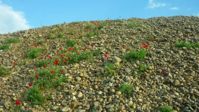 Bitcoin in der Krise: Warum das digitale Gold versagt