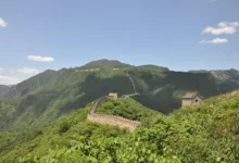 Krypto-Geldwäsche: Chinesische Netzwerke im Fokus der Ermittler