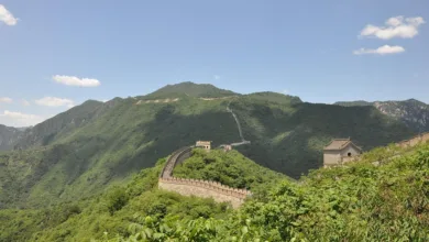 Krypto-Geldwäsche: Chinesische Netzwerke im Fokus der Ermittler