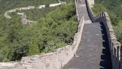 Chinesische Memecoins: Spekulation und Chancen im Jahr 2026