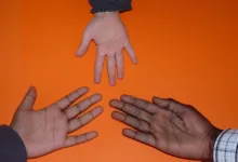 Kooperation von Natix und Valeo: KI für autonomes Fahren