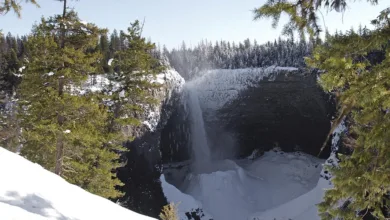 Solana-Kurs fällt erneut: Unterstützungsniveaus unter Druck