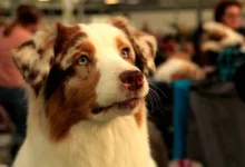 Krypto-Investitionen: CoinFlip erweitert Zugriff für Mitarbeiter