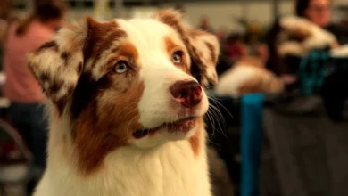 Krypto-Investitionen: CoinFlip erweitert Zugriff für Mitarbeiter