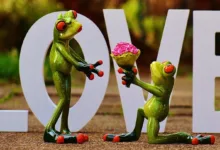 Morgan Stanley stellt Antrag für Ethereum-ETF in den USA