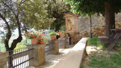 Zcash-Kurs zeigt Anzeichen der Erholung: Chancen und Risiken