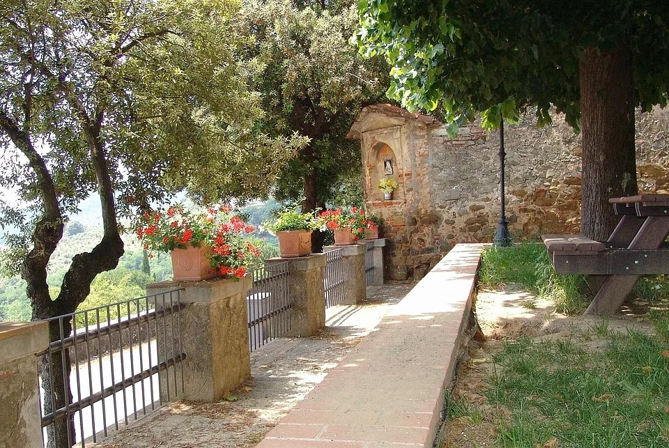 Zcash-Kurs zeigt Anzeichen der Erholung: Chancen und Risiken