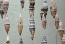 Iranische Währung im freien Fall: Bitcoin als Notlösung?