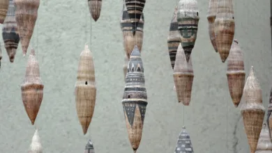 Iranische Währung im freien Fall: Bitcoin als Notlösung?