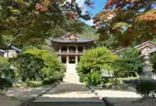 Yakovenko: Zukunft von Solana durch KI und ständige Anpassung