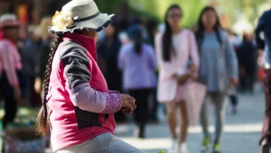 Cardano-Kurs unter Druck: Langzeitinhaber verkaufen verstärkt