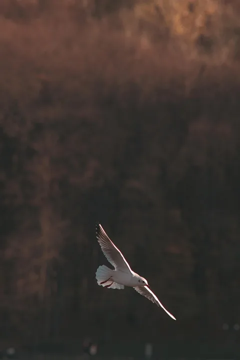 Kryptowährungen im Fokus: Moldovas Warnung und UK-Strategie