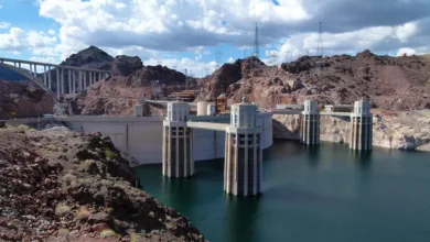 Dogecoin ETF: Investieren ohne technische Hürden meistern