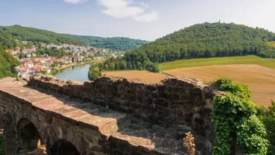 Krypto-Markt im Rückgang: Gegenmaßnahmen und Aussichten