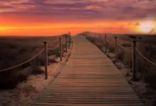 Nifty Gateway schließt: Letzte Chance für NFT-Besitzer