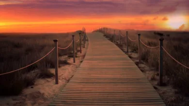 Nifty Gateway schließt: Letzte Chance für NFT-Besitzer