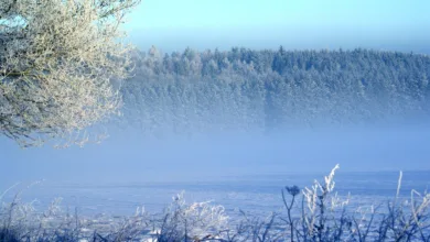 Kryptowährungen in Isas: Ein Schritt in die Zukunft der Investitionen