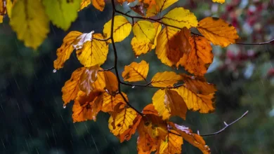 Krypto-Trading entmystifiziert: Zoomex und die neue Transparenz