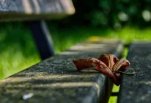 KBC Bank führt Krypto-Handel in Belgien ein: Ein neuer Trend