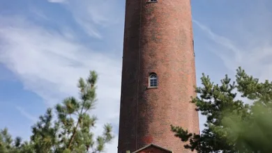 Marktanalyse vor Ort: Ein Blick auf die Finanzdynamik