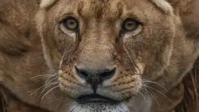 Bitcoin im Abwärtsstrudel: Blick auf die Märkte heute