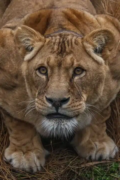 Bitcoin im Abwärtsstrudel: Blick auf die Märkte heute