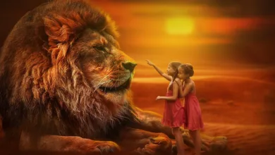 Konsolidierung bei Bitcoin: Kommt die große Kursbewegung?