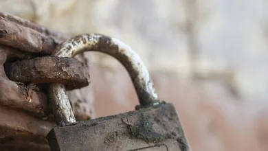 Datenschutz als Schlüssel zu Blockchain-Erfolgen 2026