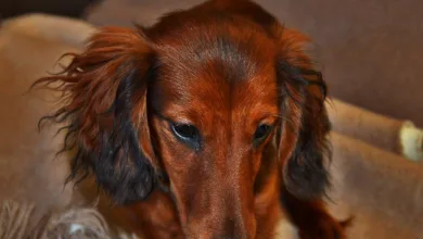 Bitcoin und die US-Wirtschaft: Ein Blick auf kommende Trends