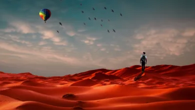 Bitcoin-Kurssturz: 120 Milliarden Dollar verloren in Tagen