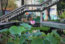 Neue Chancen für Kryptowährungen: US-Gesetz bringt Klarheit