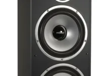 Fidelity Digital Dollar: Ein neuer Akteur im Stablecoin-Markt