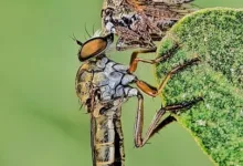 Base-App wird handelzentriert: Nutzerinteressen im Fokus