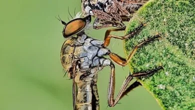 Base-App wird handelzentriert: Nutzerinteressen im Fokus