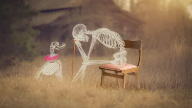 Kritik an X: Kryptowährungsinhalte und Bots im Fokus