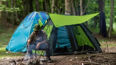 Irans Kauf von Stablecoins: Strategiewechsel zur Währungsstabilität